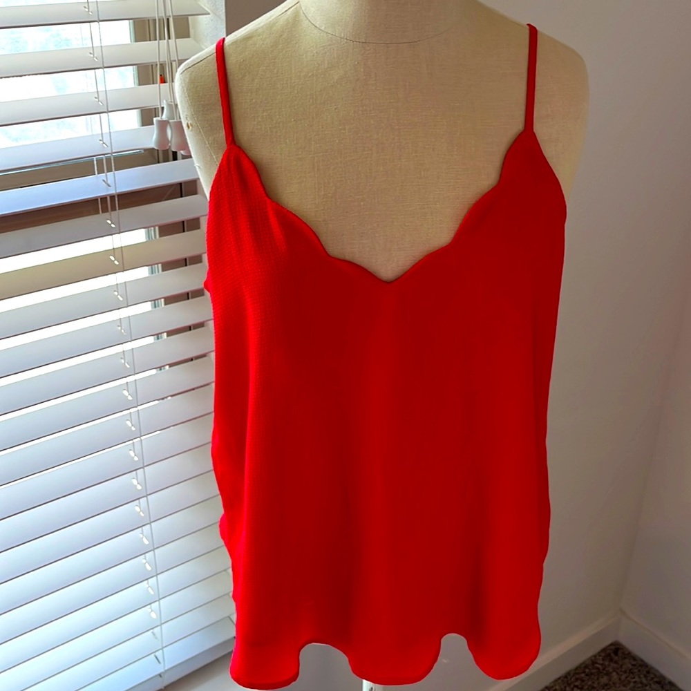 Allison Joy scalloped cami top